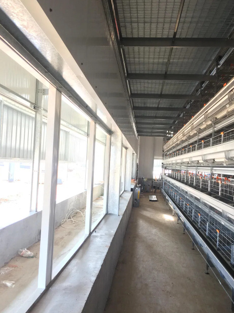 Hot-Dip Galvanized Prefabricated Steel Poultry House with Customizable Dimensions for Chicken Farms