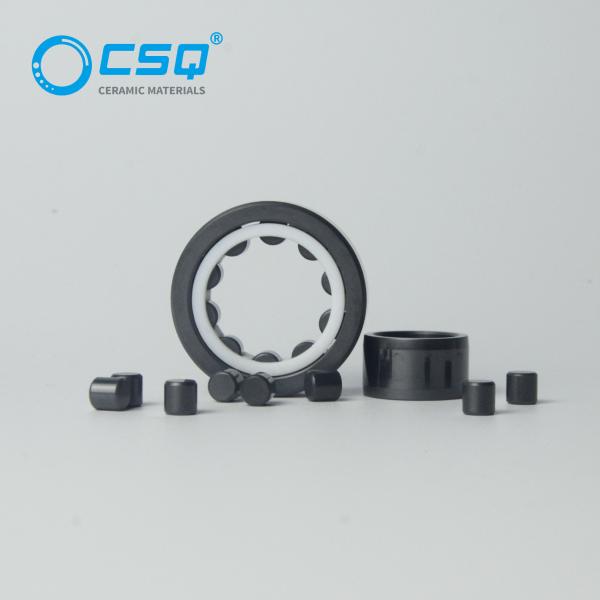 Ceramic Cylindrical Roller Bearings Single Row Si3N4 SSiC ZrO2