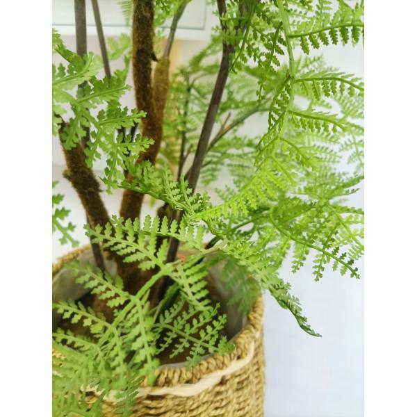 Lifelike Green Artificial Tropical Plant For Office Table Decor Boston Fern