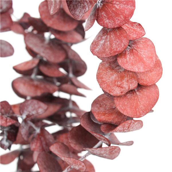 Artificial Dried Eucalyptus Plant , Preserved Silver Dollar Eucalyptus