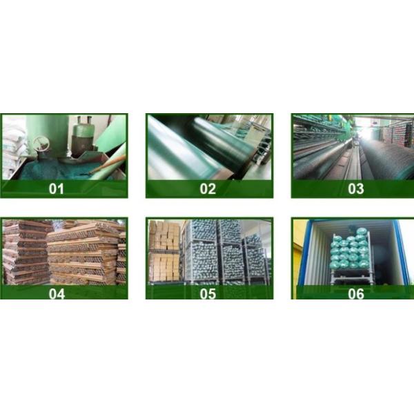 High Density Polyethylene Monofilament Yarns Anti Insect Nets For Greenhouse
