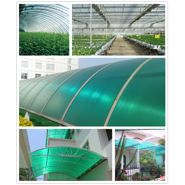 Polycarbonate Hollow Sheet Anti UV Polycarbonate Panel Lightweight Impact Resistant Clear Protective Roofing Panels