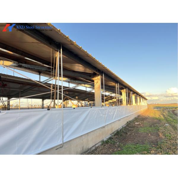 Fast Build Steel Structure Poultry Shed Construction Customized
