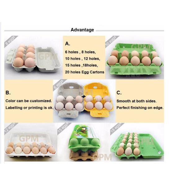 Factory direct sale 1000pcs/hour full Automation Egg Tray Machine Forming Machine