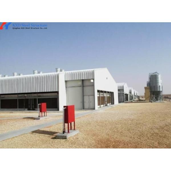 Hot-dip Galvanized Automatic Broiler Chicken Cage System with Adjustable Vents and Corrosion Resistant Design