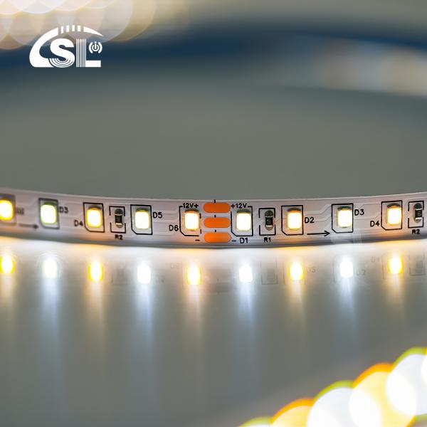 Flexible Dual Color Die-Cutting Board SMD2835 Led Strip Light 3000K-6500K Warm White -White
