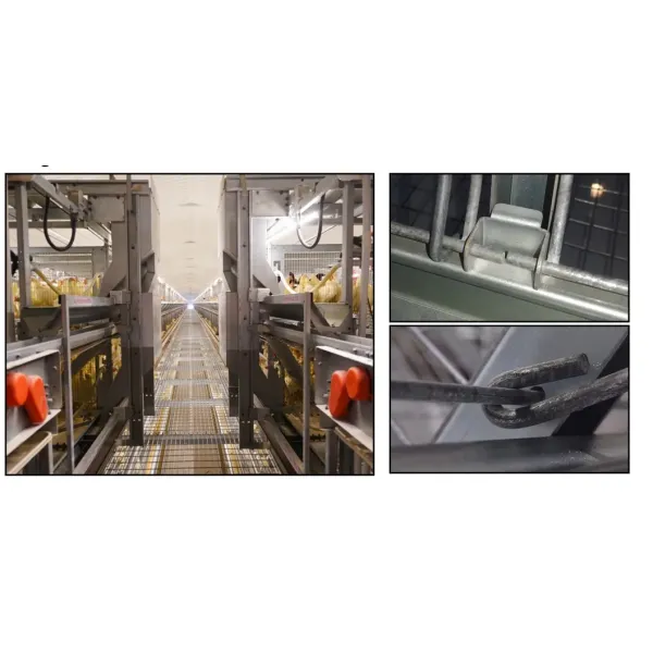 Galvanized Steel H Type Battery Layer Cages with Modular Structure and Automated Feeding for Poultry Farming