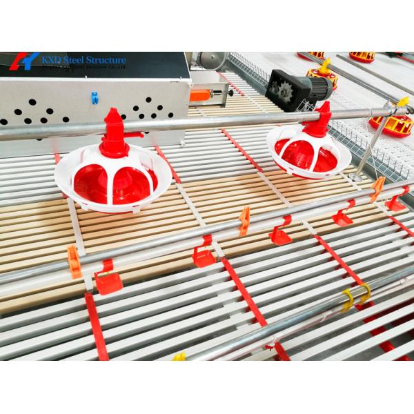 Fully Automatic Animal Feeders Plastic Chicken Feeders And Drinkers