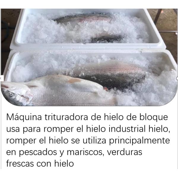 50kg 100kg Trituradora de hielo de bloques industriales Focusun rendimiento eficiente