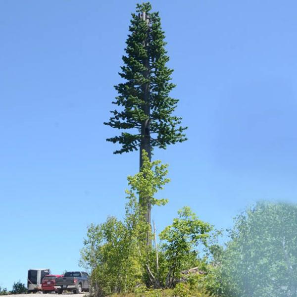 Quality Bionic Beautification Bionic Tree Communication Camouflage Tower for sale