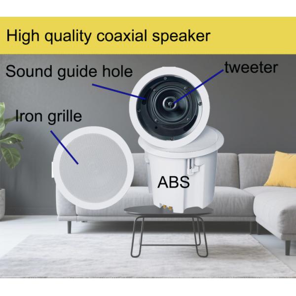 OEM ODM Ceiling Speaker 30W Coaxial Loudspeaker ABS Good Sound