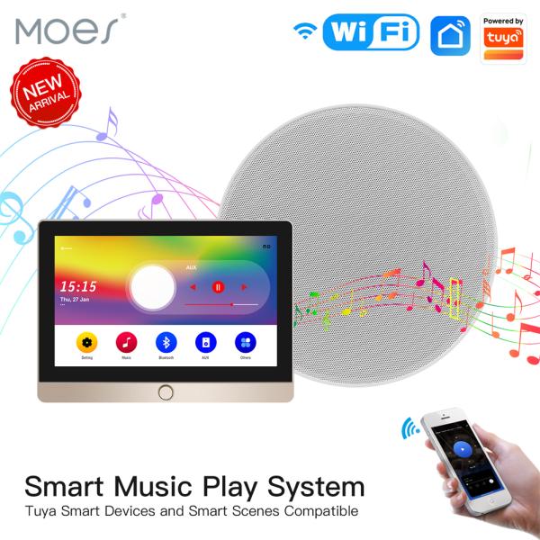 Tuya Wifi Touch Control Panel for Music Play Wall Amplifier Central Control Panel Sync Compatible Music Player Blue toot