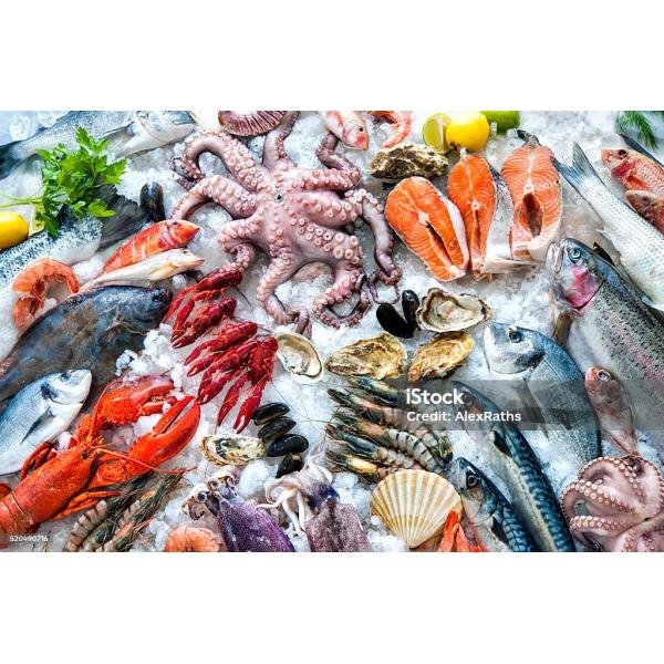 80KW Industrial Ice Machines for Chicken Production Enhance Your Production Line