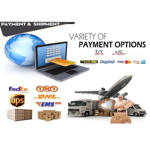 0680705 0680735 680735 680705 High Performance Oil Pump For DAF Models