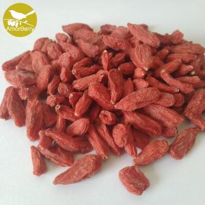 China China supplier dried medlar wolfberry goji berry Health fruit ningxia zhongning low pesticide dried goji berry on sale