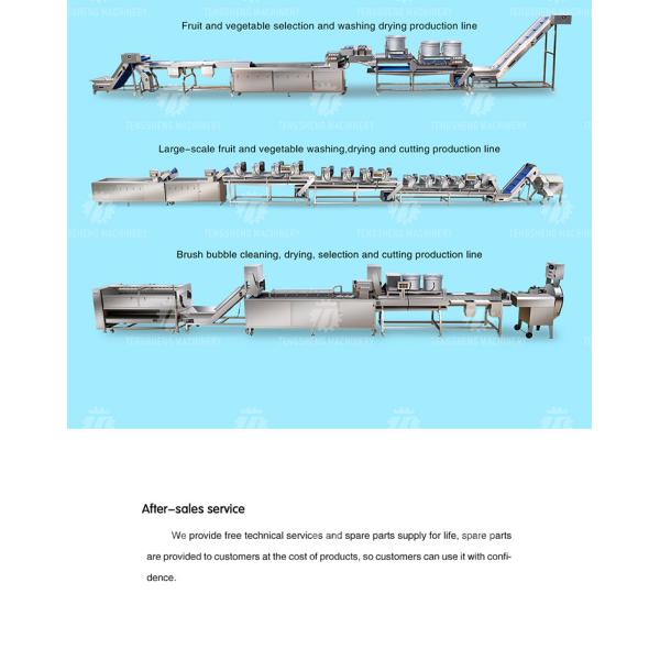 Multifunction Fruit And Vegetable Processing Line Automatic Washing And Sorting Machine