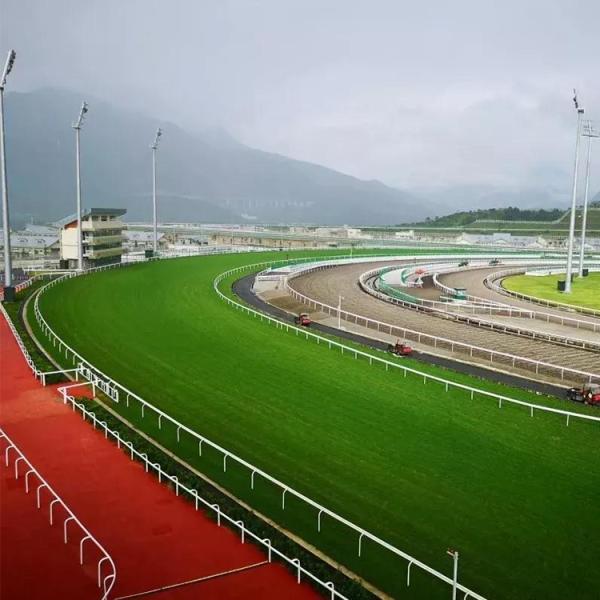 Hexagon Rubber EPDM/SBR Pavers Red Color Rubber Brick For Equestrian And Racecourse Area