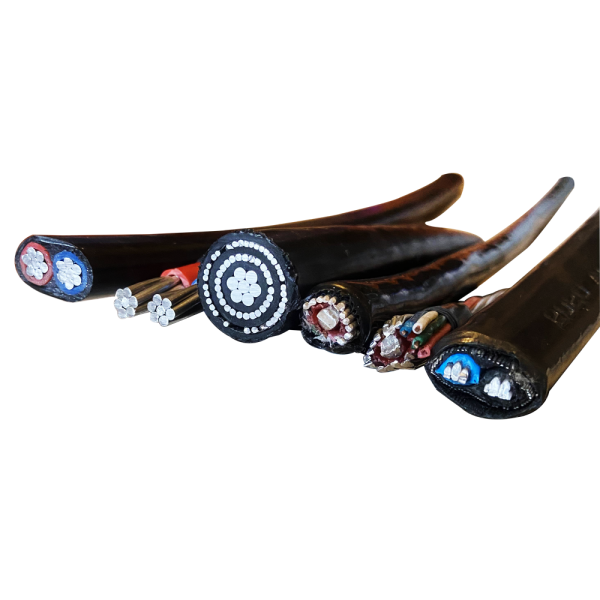 Aluminum Conductor Concentric Cable 0.6/1kV Rated Voltage Power Distribution Cable