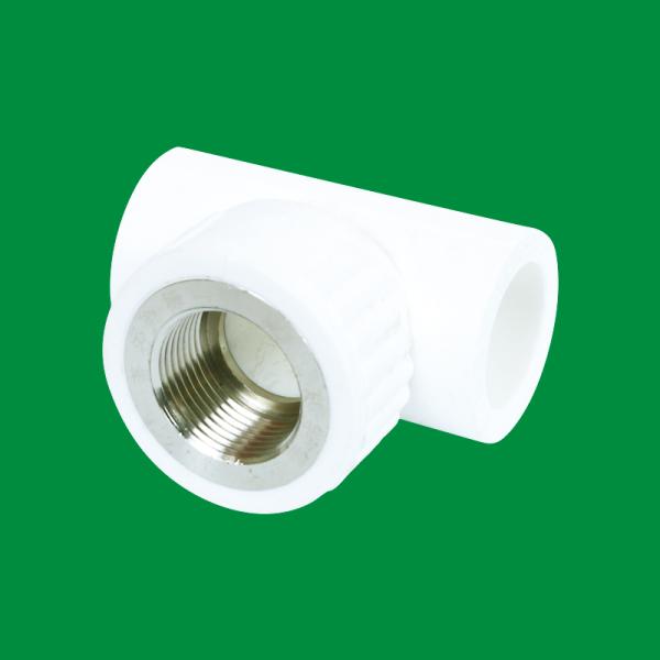 Factory Customizable Designed PPR Outside Wire Coupling Fittings Support Customized