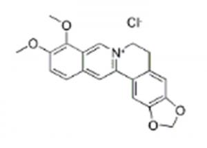 China Cas 633-65-8 Berberine Hydrochloride Anti Arrhythmic Berberine HCL on sale