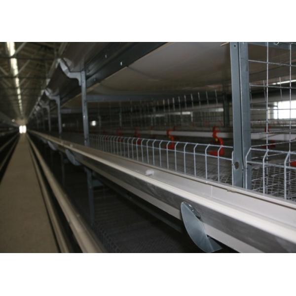 Hot Dip Galvanized Chicken Battery Cages Layer Farming Easy Daily Management