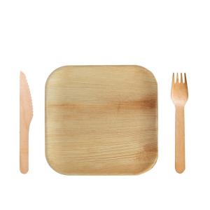 Square Biodegradable Disposable Tableware