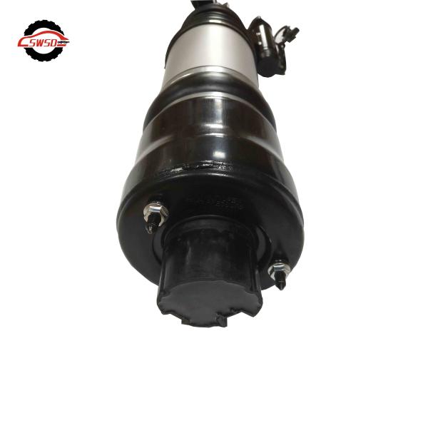 OEM 2113201938 2113209513 Air Suspension Shock Absorber