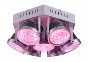 China High Efficient Full Spectrum 300W LED Grow Light for Medical Plants Veg and Bloom Indoor Plant 3 Years Warranty on sale