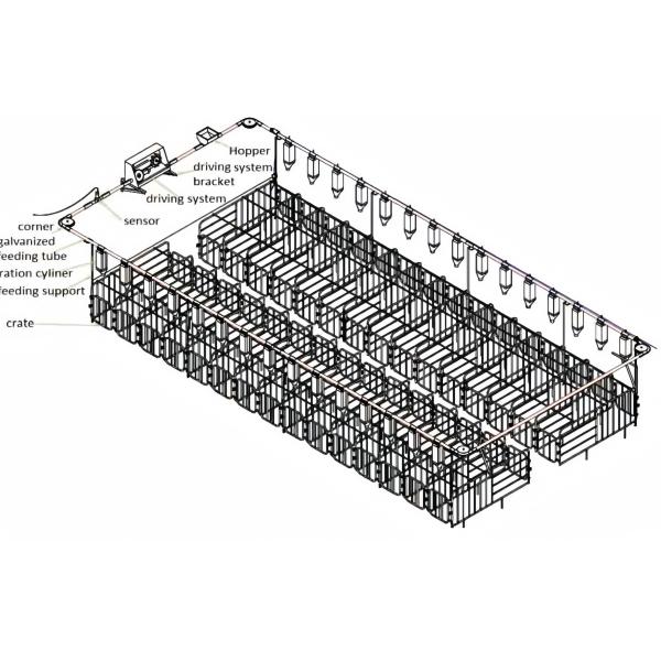 Custom Piggery Shed Light Steel Structure Cow Shed With Automatic Euipment