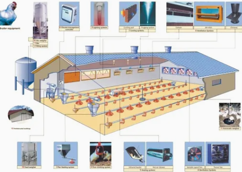 Rapid Installation Modular Poultry House with Corrosion Resistance for Modern Farming