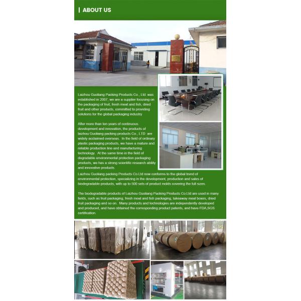 Bulk Selling 30-Hole Apple Packaging Tray Fruit Liners PP Material Tray Paper Liner Supplier