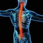 Comfortable Lumbar Decompression Machine Spinal Decompression Device