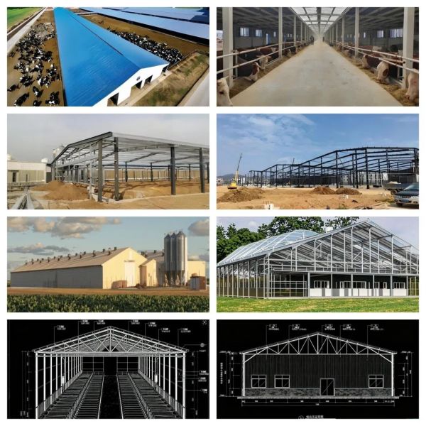 Durable Steel Structure Construction Building with ISO Certification