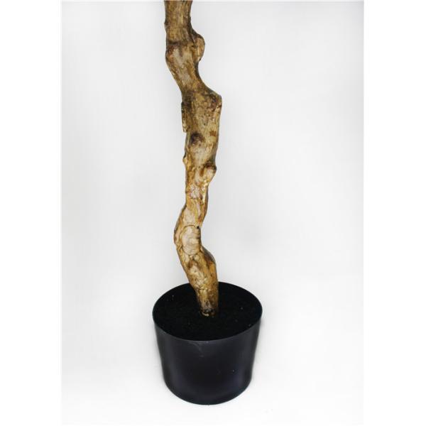 Asethetic Realistic Fake Plants , Beautiful High End Artificial Trees Contemporary