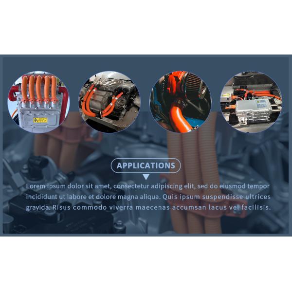 Customizable SAE J1772 Type 1 EV Charger Cable for EV Charging Station