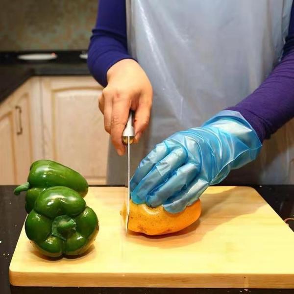 White Blue OEM Sushi PE TPE Disposable Vinyl Gloves