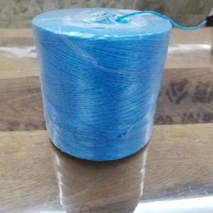 China Heavy Duty Blue Rafia Tomato Tying Garden Poly Twine 6,300 ft 3LB for Tying up your tomatoes on sale