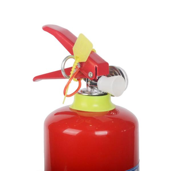 SWDPN-01:1KG 20% BC Dry Powder Fire Extinguisher for All Types of Fires