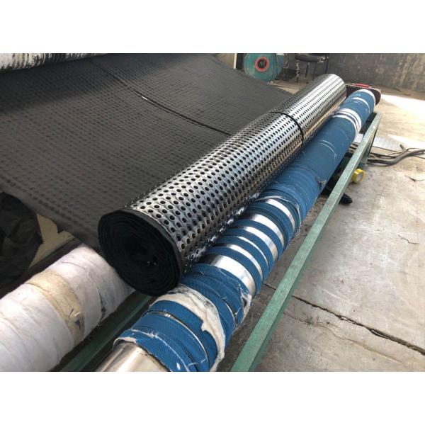 Modern Design Style Drainage HDPE Composite Drainage Board for Building and Construction