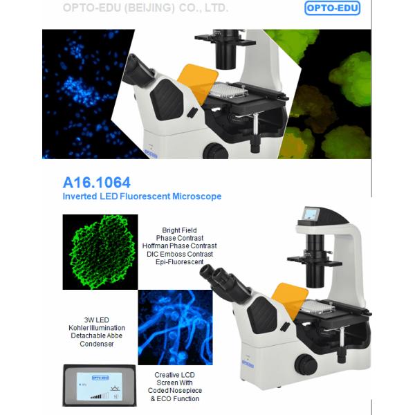 OPTO EDU A16.1064 Inverted Fluorescent Microscope B G U Long Working Distance
