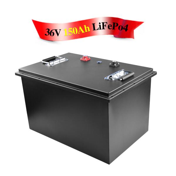 Durable 100A Lifepo4 Lithium Battery Phosphate With Sheet Metal Case