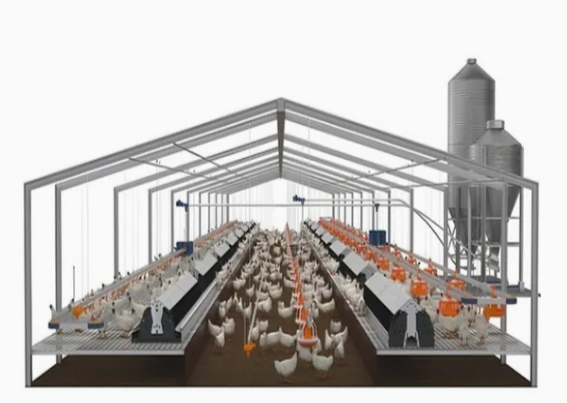 Low Cost Steel Structure Chicken House with Quick Assembly and Customizable Finishes for Poultry Farming