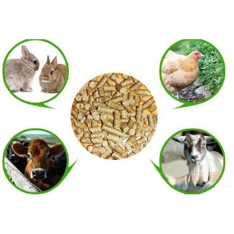 feed pellet machine Dog Food Pet Small Fish Pellet Machine Animal Feed Mini Pellet Machine