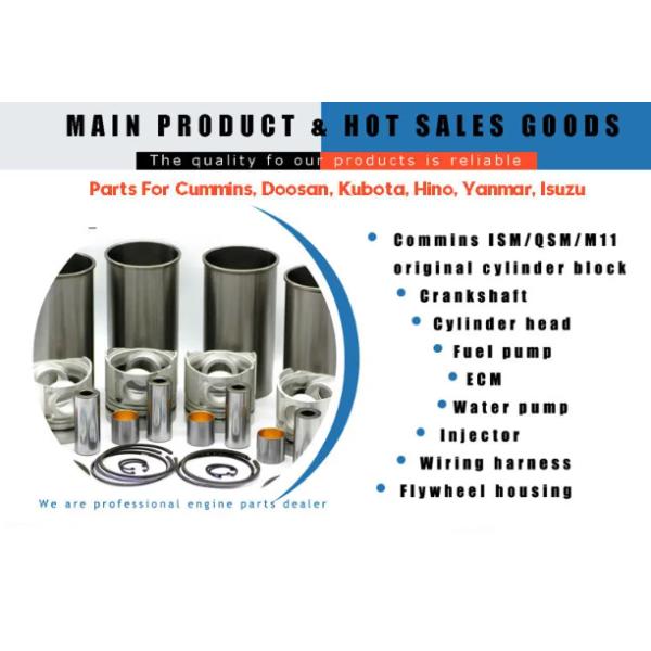 Prevents Rust Diesel Engine Starter 814323 Chongkang NT855-C280-C360 Truck Spare Parts
