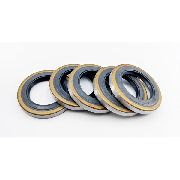 Rubber TB Type Oil Seal Double Lip Skeleton Oil Seals NBR FKM Oil Seal
