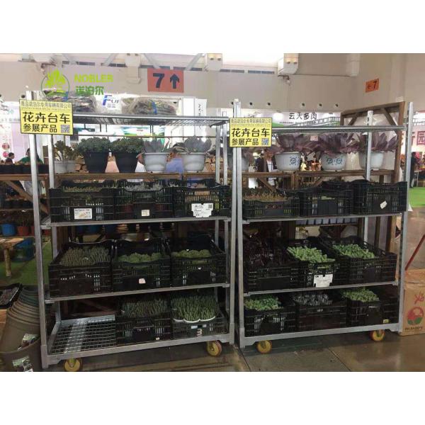Danish CC Container Flower Trolleys Green House Nursery Plant Transport