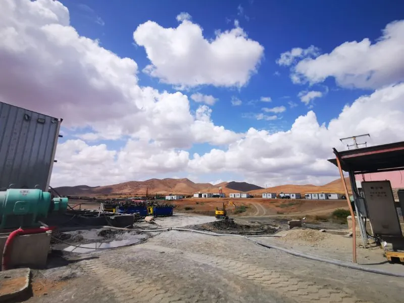 Copper Molybdenum Separation D431 Flotation Chemical