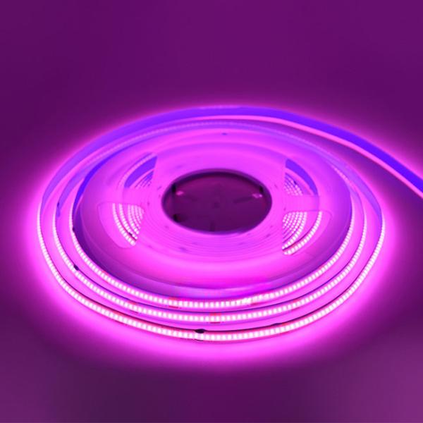 800lm/m Luminous Flux Cob Light Strip Dimmable 24v Single Color 8mm Warranty 3 Years