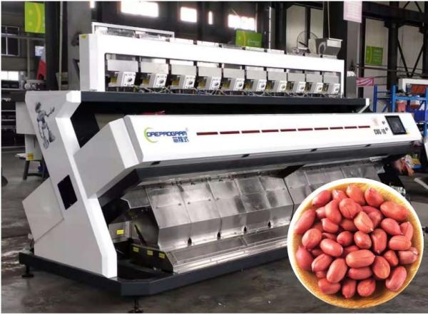 Precise Rejection Peanut Sorting Equipment , 640 Channels 5t/h Kernel Sorting