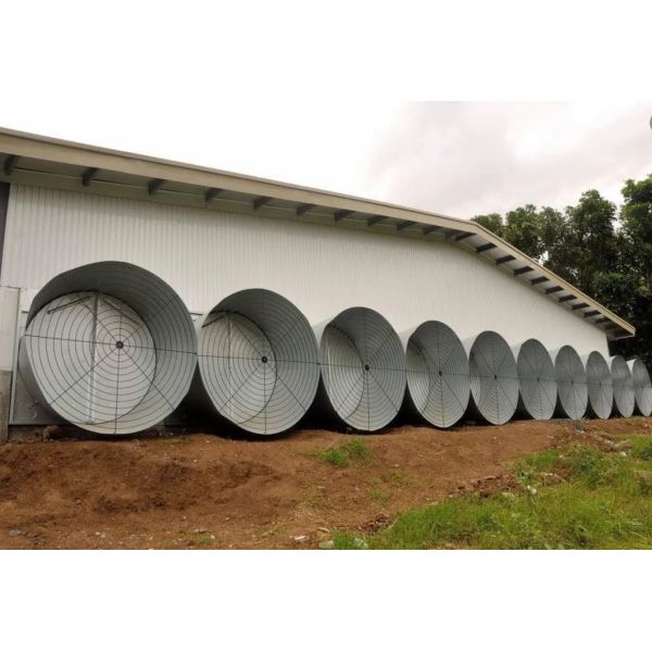 Corrosion Resistant Energy Saving Automatic Feed Poultry Ventilation System for Chicken House